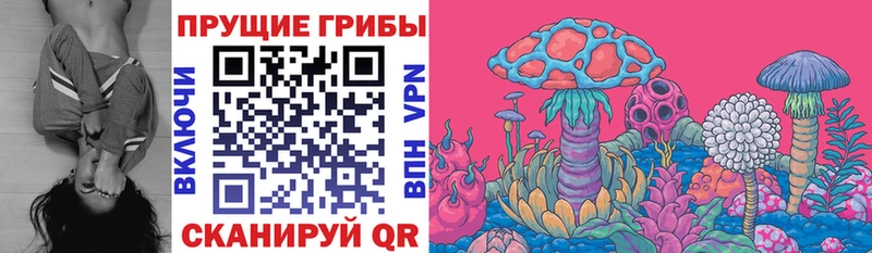 Галлюциногенные грибы мухоморы Курлово