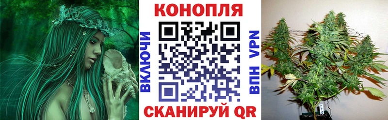 где купить наркотик  Курлово  нарко площадка клад  Бошки Шишки гибрид 